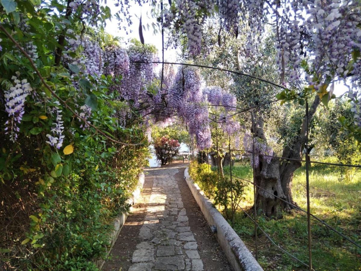 B&B Masseria Liberatore Mattinata Buitenkant foto