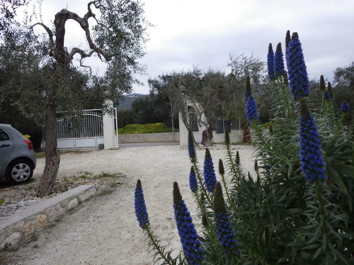 B&B Masseria Liberatore Mattinata Buitenkant foto